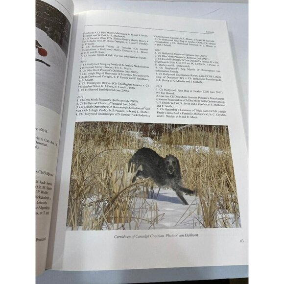The World of Deerhounds in the New Millennium 2000-2015 Kay Barret RARE HTF BOOK - Picture 6 of 10